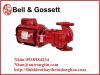 Máy Bơm, Công Tắc Áp Suất Pumps Bell_Gosset - anh 2