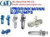Bơm nước Brinkmann Pumps - anh 1