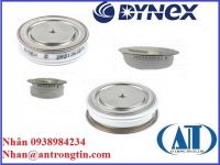 Chỉnh lưu Dynex